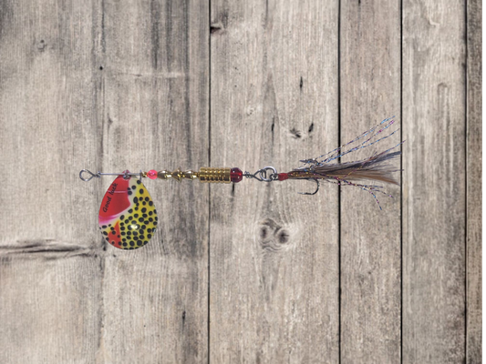 JBS4006SS-4V1 "RATTLEKING-V1"  #4 Colorado Blade Spinner